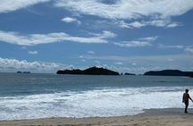 Manuel Antonio National Park Guided Wildlife Tour