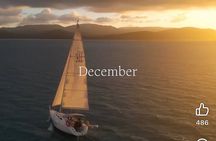 Half-Day Airlie Beach Sailing and Snorkeling Tour on Yacht