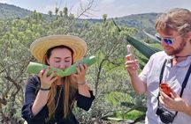 Tour de Pulque en Tepotzotlán, Pueblo Mágico