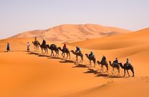 10 Day Private Tour from Casablanca by Imperial Cities and Desert