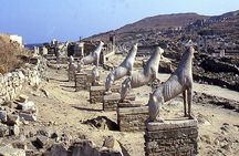 One Day Cruise from Paros to Delos and Mykonos or Mykonos only