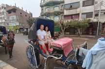 Private Day Tour Edfu and Kom Ombo Temples From Luxor