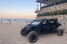 Los Cabos Instagram Photo Safari: Dunes, Snorkel & Flora Farms