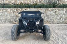 Los Cabos Instagram Photo Safari: Dunes, Snorkel & Flora Farms