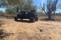 Los Cabos Instagram Photo Safari: Dunes, Snorkel & Flora Farms