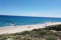 Los Cabos Instagram Photo Safari: Dunes, Snorkel & Flora Farms