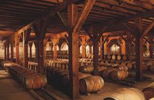 Viña Santa Rita Premium Tour and 5 Wine Tasting Small Group