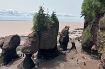 Saint John (NB) Bay of Fundy and Hopewell Rocks Private Tour