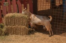 Crete Authentic farm experience