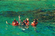 Boat Tour Snorkeling Tour with Guide, Drinks and Fruit