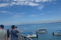 Local and Flexible Private Puerto Vallarta City Tour