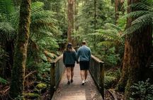 Tahune Airwalk Hasting Caves and Thermal Springs Pool from Hobart