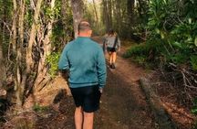 Tahune Airwalk Hasting Caves and Thermal Springs Pool from Hobart