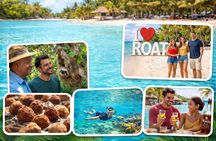 Roatán Private Tour: Sloths, Beach, Rum Tasting & Chocolate