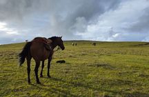Private Sunrise Horseback Ride – First Light Experience