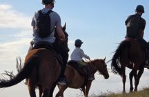Private Sunrise Horseback Ride – First Light Experience