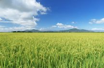 Niigata Private Custom Tour with Local Guide