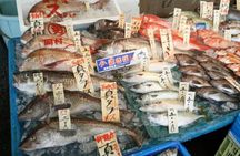 Niigata Private Custom Tour with Local Guide