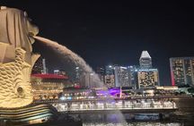 Singapore Street Food Dinner Marina Bay and Gardens Light Show