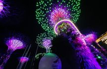 Singapore Street Food Dinner Marina Bay and Gardens Light Show