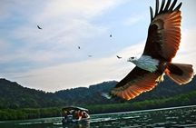 Langkawi Mangrove Cable Car and Sky Bridge Tour