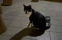 Seoul Sauna Spa Authentic Korean Traditional Jjimjilbang