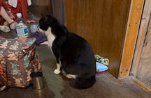 Seoul Sauna Spa Authentic Korean Traditional Jjimjilbang