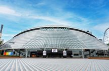 Tokyo Dome Field Access Museum and Batting Challenge