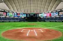 Tokyo Dome Field Access Museum and Batting Challenge