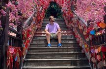Chengdu Panda Base and City Highlights Private Tour