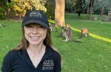 Pinnacles Sunset and Stargazing Group Tour with Lobster Dinner