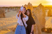 Pinnacles Sunset and Stargazing Group Tour with Lobster Dinner