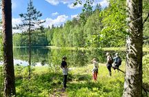 Magical Taiga Forest Hike with Lunch and Transportation