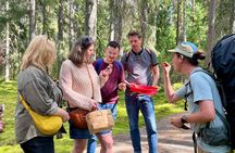 Magical Taiga Forest Hike with Lunch and Transportation