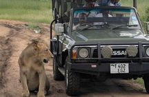 Day Trip To Mikumi National Park From Dar es salaam by Sgr train