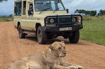Day Trip To Mikumi National Park From Dar es salaam by Sgr train