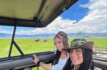 Day Trip To Mikumi National Park From Dar es salaam by Sgr train