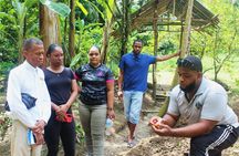 Flavors of Soufrière Farm Visit and Tropical Fruit Tasting