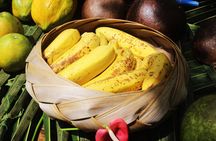 Flavors of Soufrière Farm Visit and Tropical Fruit Tasting