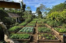 From Farm to Table: Balinese Cooking Class at Paon Escape Ubud