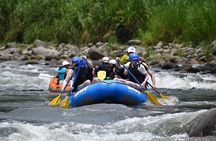 Pure Trek Rainforest & Rafting Class II & III