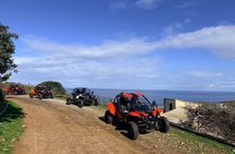 Half Day Buggy Safari in Crete Explore Villages and Nature