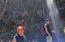 Hiking to Unique Waterfalls from Puerto Vallarta