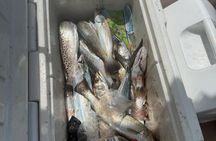 Follow That Dream Pkwy Shared Fishing Trip