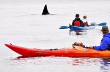 Sucia Island Kayak Expedition