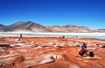 Piedras Rojas Tour Explore Altiplanic Lagoons and Chaxa