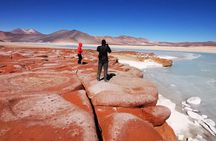 Piedras Rojas Tour Explore Altiplanic Lagoons and Chaxa