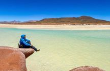 Piedras Rojas Tour Explore Altiplanic Lagoons and Chaxa
