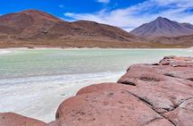 Piedras Rojas Tour Explore Altiplanic Lagoons and Chaxa