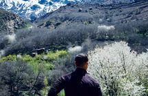 High Atlas Berber villages & Dromadair backpacking